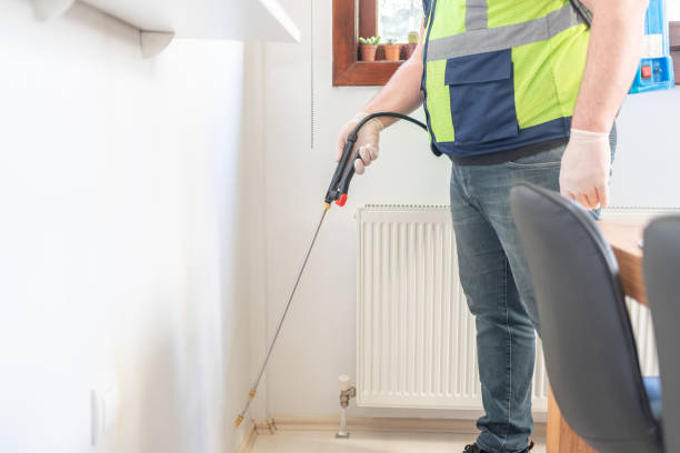 Wasp Removal Services in Mariemont, OH
