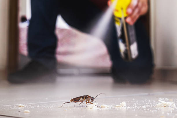Best Exterminator Services  in Mariemont, OH